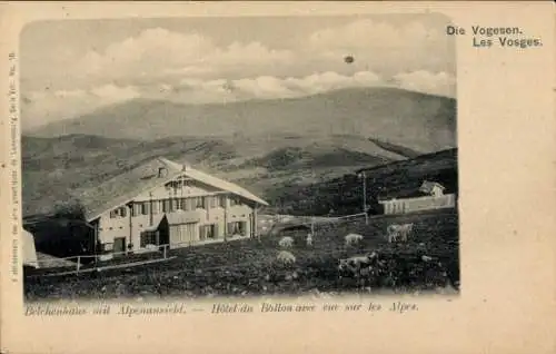 Ak Aitern im badischen Schwarzwald, Belchen, Belchenhaus, Alpen