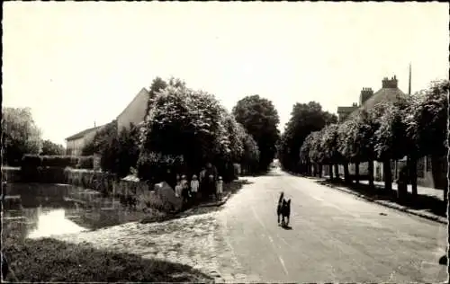 Ak Neauphle le Chateau Yvelines, Avenue de la Republique, Hund