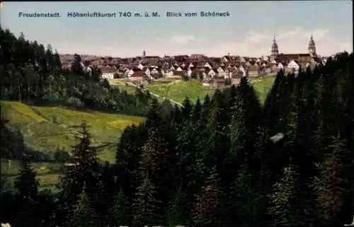 Ak Freudenstadt im Schwarzwald, Blick vom Schöneck