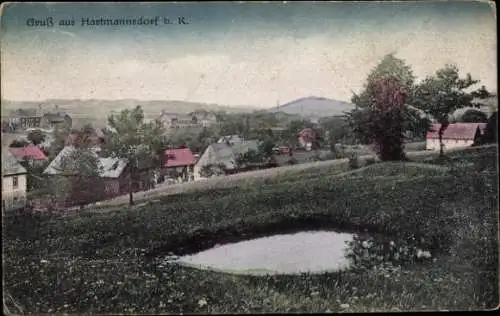 Ak Hartmannsdorf Reichenau im Erzgebirge, Teilansicht