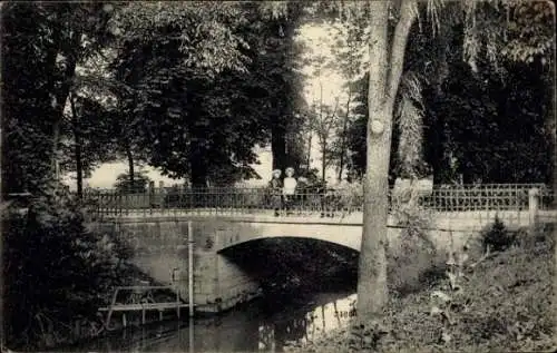 Ak Riesa an der Elbe Sachsen, Stadtpark, Steinbrücke