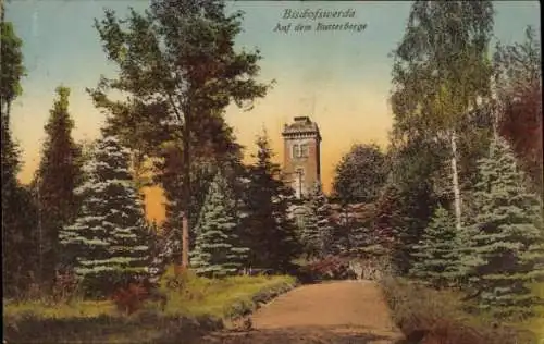 Ak Butterberg Bischofswerda in Sachsen, Turm