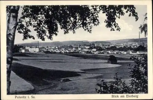 Ak Pulsnitz Sachsen, Panorama, Blick am Eierberg