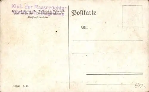 Ak Weißes Wienerkaninchen