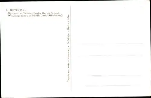 Künstler Ak Trstenjak, A., Wendische Braut aus Schleife, Preuß. Oberlausitz