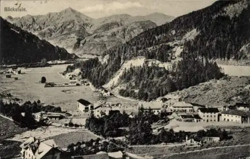 Ak Böckstein Bad Gastein in Salzburg, Panorama