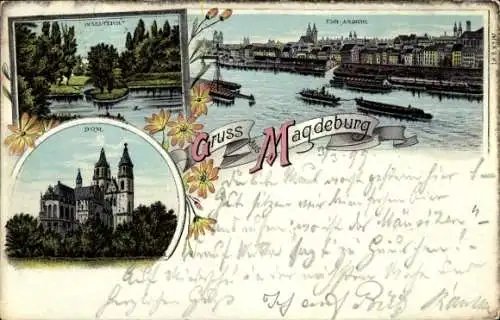 Litho Magdeburg an der Elbe, Dom, Inselteich