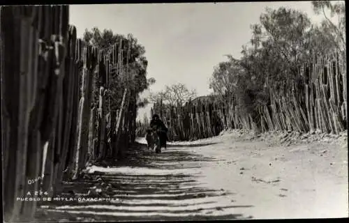 Foto Ak San Pablo Villa de Mitla Oaxaca Mexiko, Pueblo de Mitla, Kakteen