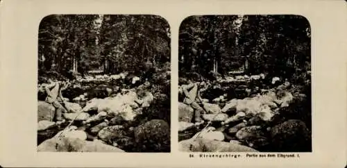 Stereo Foto Labský důl Elbgrund Riesengebirge Region Karlsbad, Wald, Mann