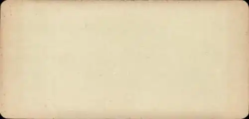 Stereo Foto Rhens am Rhein, Königsstuhl