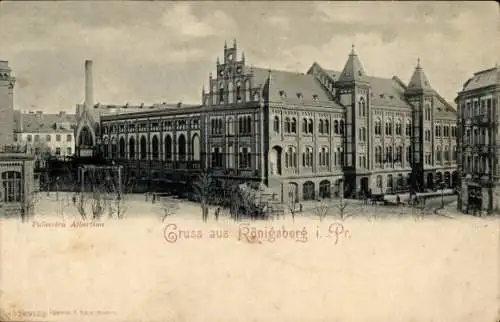 Ak Kaliningrad Königsberg Ostpreußen, Palaestra Albertina