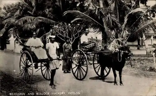 Ak Ceylon Sri Lanka, Rickshaw and Bullock Hackery, Ochsenkarren