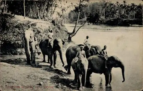 PC Ceylon Sri Lanka, Elefants