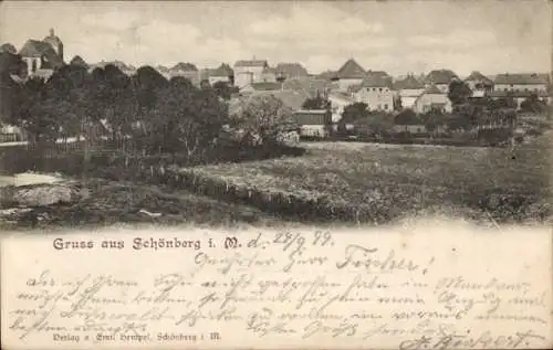 Ak Schönberg in Mecklenburg, Gesamtansicht