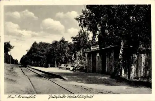 Ak Bad Bramstedt in Holstein, Straßenpartie, Haltestelle Neues Kurhaus, Eingang zum Moorbad