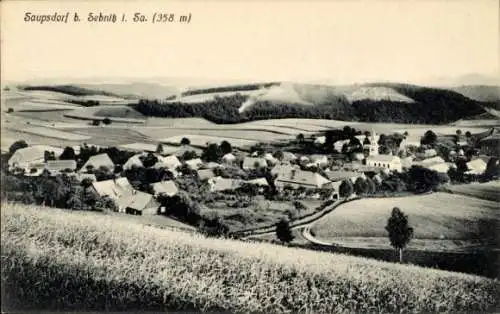 Ak Saupsdorf Sebnitz Sächsische Schweiz, Panorama