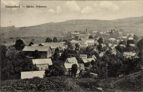 Ak Saupsdorf Sebnitz Sächsische Schweiz, Totale