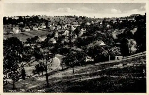 Ak Struppen Sächsische Schweiz, Panorama