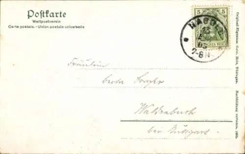 Ak Nagold im Schwarzwald, Gesamtansicht, Hohennagold