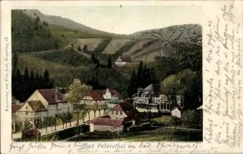 Ak Bad Peterstal Griesbach im Schwarzwald Baden, Teilansicht