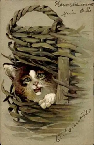 Litho Katze in einem Flechtkorb