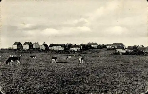 Ak Oldenburg in Holstein, Blick auf Kurzenkamp