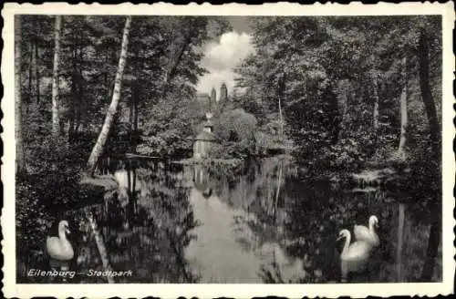 Ak Eilenburg an der Mulde, Stadtpark, Schwäne