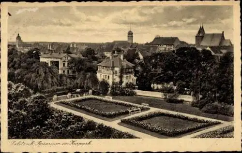 Ak Delitzsch in Sachsen,  Rosarium im Kurpark