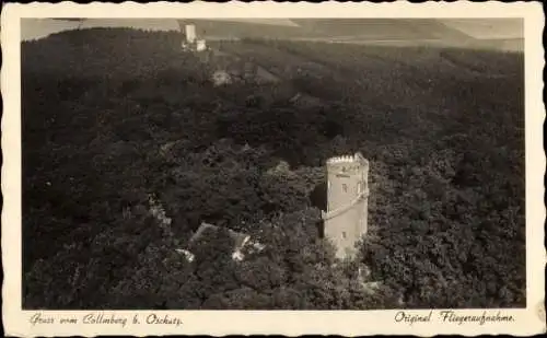 Ak Collmberg Collm Wermsdorf Sachsen, Turm auf dem Collmberg, Gaststätte, Wald