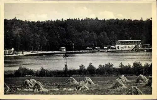 Ak Schmannewitz Dahlen in Sachsen, Waldteich