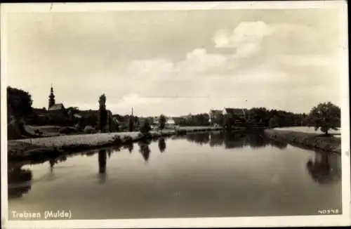 Ak Trebsen an der Mulde Sachsen, Panorama