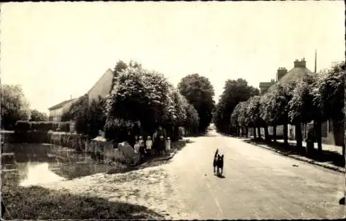 Ak Neauphle le Chateau Yvelines, Avenue de la Republique, Hund