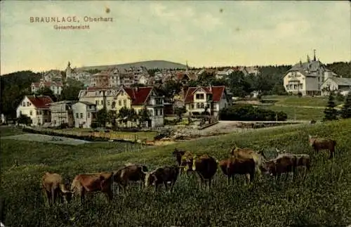 Ak Braunlage im Oberharz, Gesamtansicht