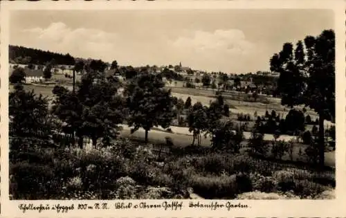 Ak Schellerhau Altenberg im Erzgebirge, Botanischer Garten, Blick vom oberen Gasthof