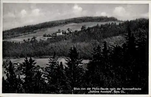 Ak Tautewalde Wilthen in der Oberlausitz, Schöne Aussicht, Sora, Blick von der Picho-Baude