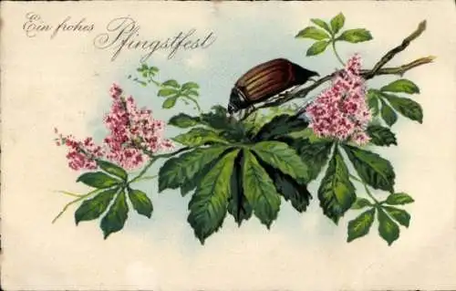 Litho Glückwunsch Pfingsten, Maikäfer, Kastanienblüten