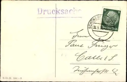 Litho Glückwunsch Pfingsten, Maikäfer, Blätter