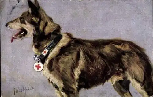 Künstler Ak v. d. Heide, J. W., Sanitätshund, Deutscher Schäferhund