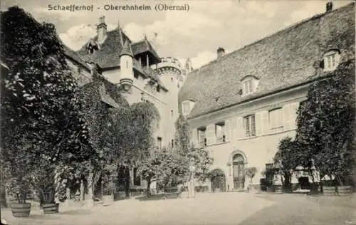 Ak Obernai Oberehnheim Elsass Bas Rhin, Schäferhof