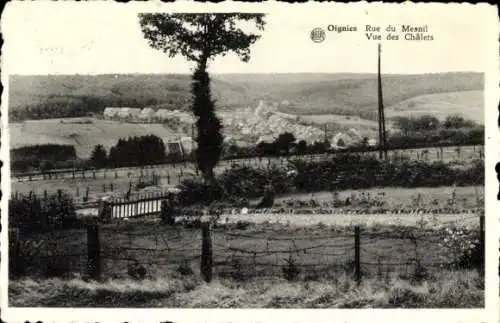 CPA Oignies en Thiérache Wallonien Namur, Rue du Mesnil, Vue des Chalets