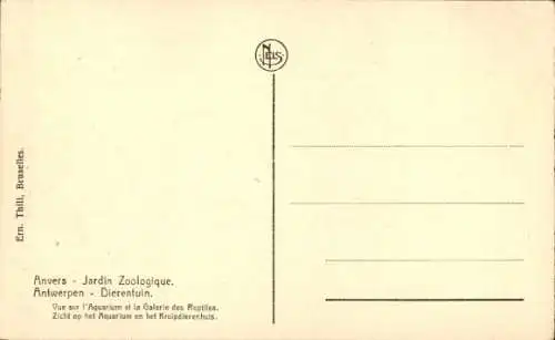Ak Antwerpen Flandern, Zoologischer Garten, Aquarium, Reptilienhaus