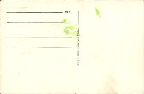 Ak Rickling in Holstein, Anstalt Salem, Pferdekutsche