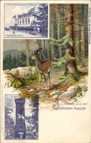 Litho Hamburg Harburg Haake, Hotel und Restaurant Majestätische Aussicht, Rehe, Aussichtsturm