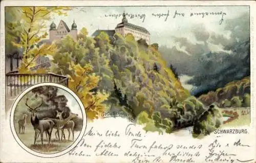 Künstler Litho Kretschmar, O., Schwarzburg in Thüringen, Schloss, Wald, Hirsch