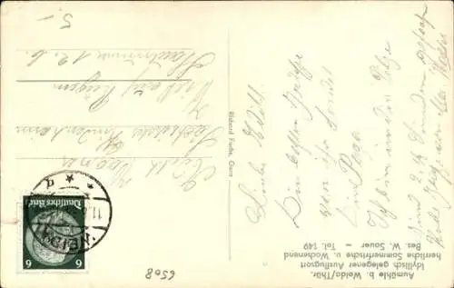 Ak Weida in Thüringen, Aumühle, Garten