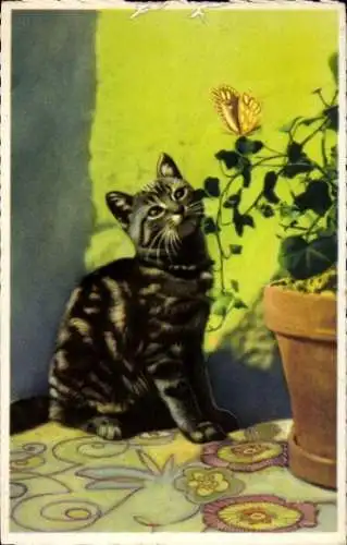 Ak Getigerte Hauskatze beobachtet gelben Schmetterling