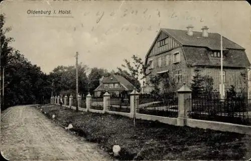 Ak Oldenburg in Holstein, Straße, Villa