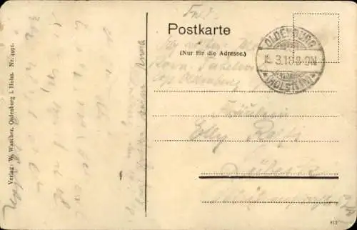 Ak Oldenburg in Holstein, Straße, Villa