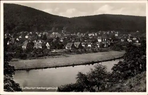 Ak Neckargemünd am Neckar, Gesamtansicht