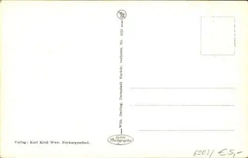 Ak Neckargemünd am Neckar, Gesamtansicht